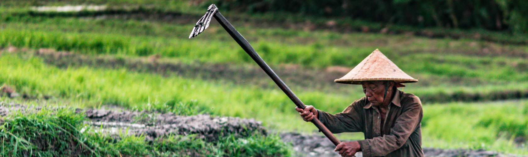 Thinking regionally about industrial food fortification 