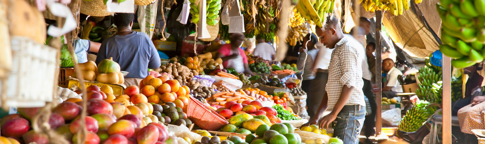 The Zero Hunger Private Sector Pledge Launch Event