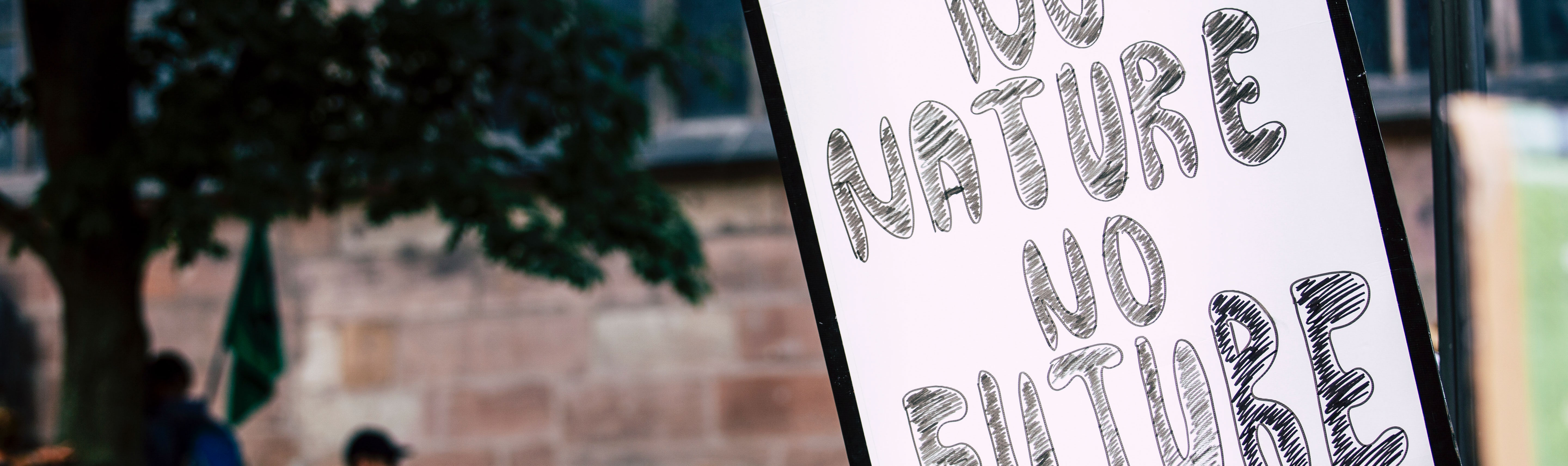 Driving global youth action for climate adaptation in food systems