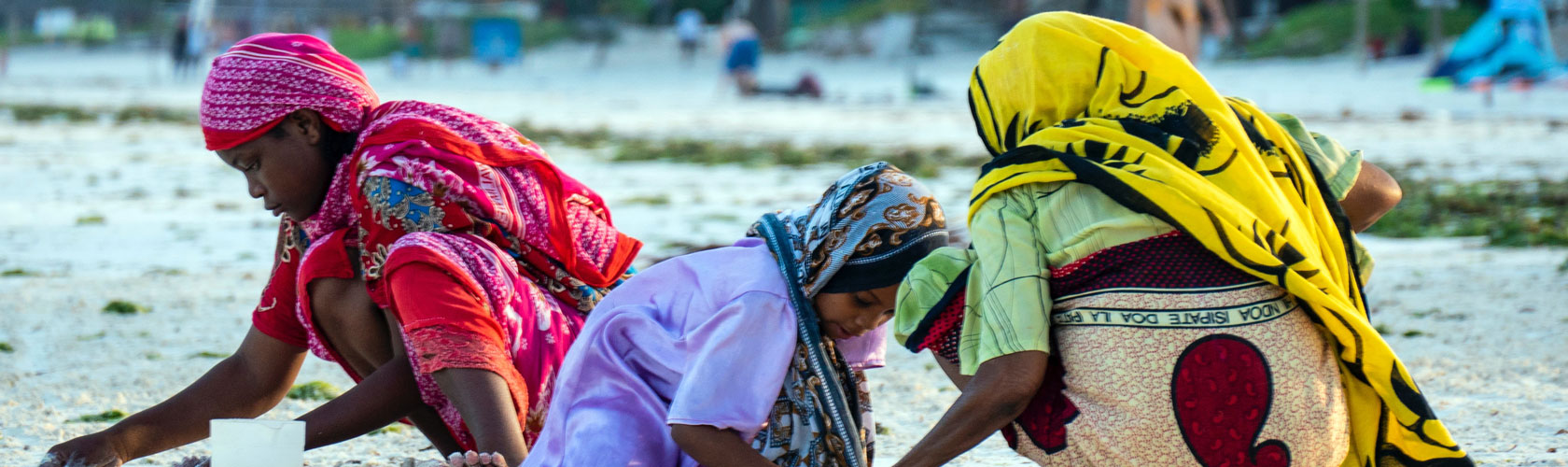 Tanzania National Summit on Food Fortification 2017