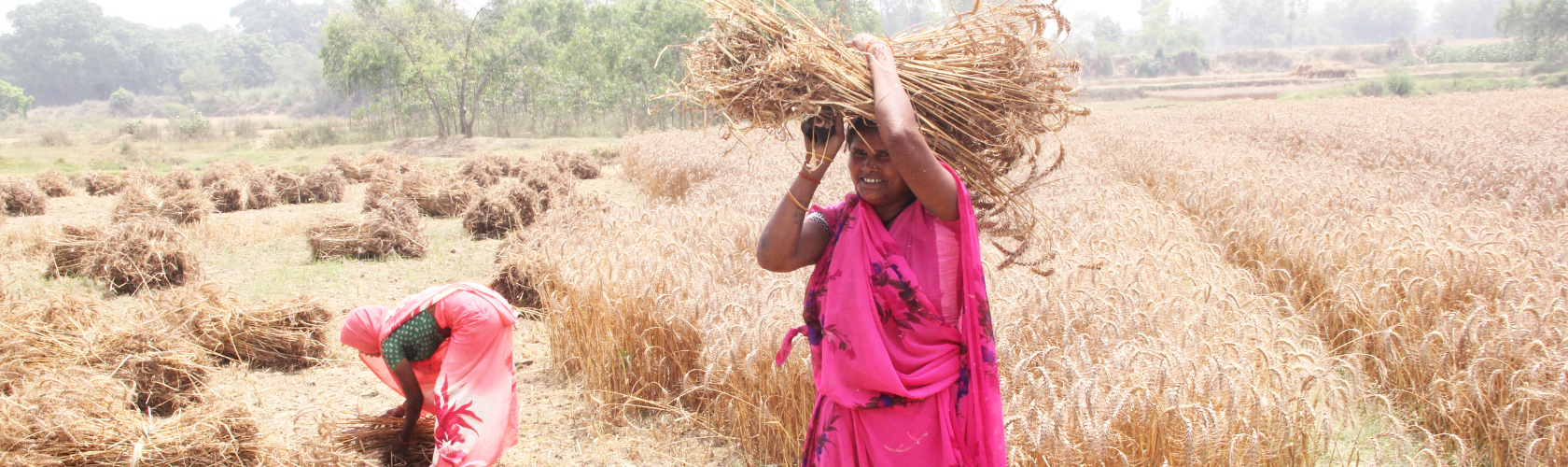 32nd International Conference of Agricultural Economists