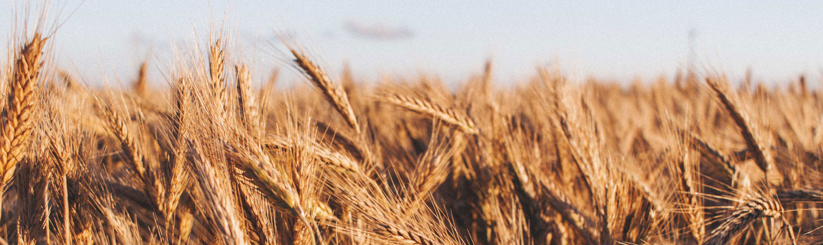 Unleashing the Full Power of Large-Scale Food Fortification: A Renewed Commitment