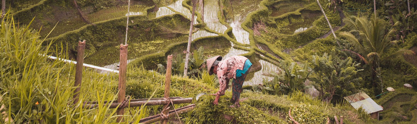 Asia-Pacific Climate Week 2023