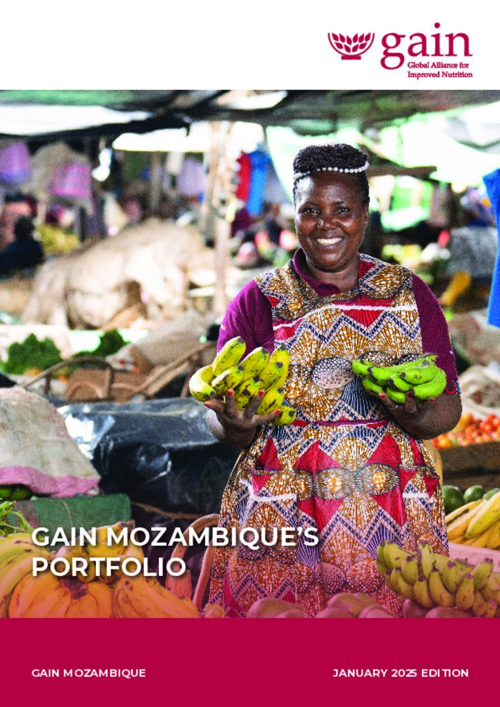 GAIN MOZAMBIQUE’S PORTFOLIO