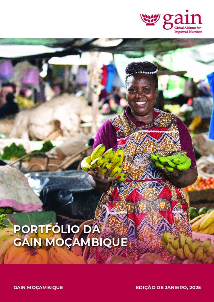 PORTFÓLIO DA GAIN MOÇAMBIQUE