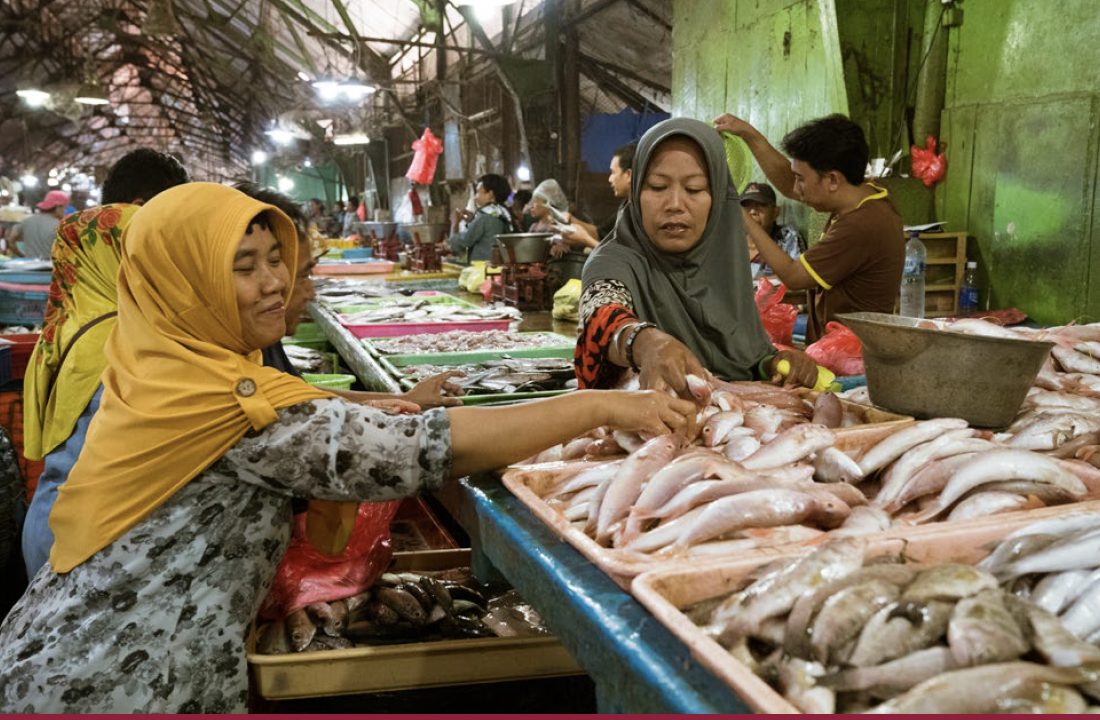 GAIN Briefing Paper n°16:NOURISHING PEOPLE AND PLANET ENVIRO-NUTRITIONAL INSIGHTS INTO LOCAL FOODS FOR POLICY, PROGRAMMES, AND INDUSTRY