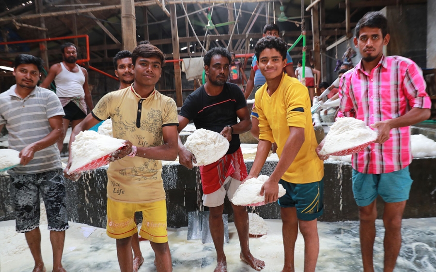 What is the link to nutrition