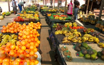 Food market in Africa with bananas and fruits laid down