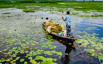 Initiative on Climate Action and Nutrition (I‑CAN)