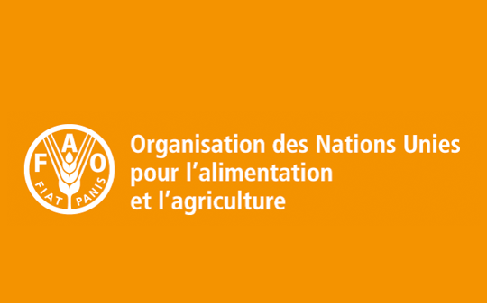 FAO
