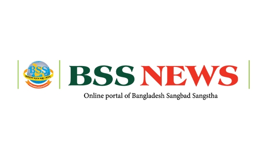 BSS NEWS LOGO