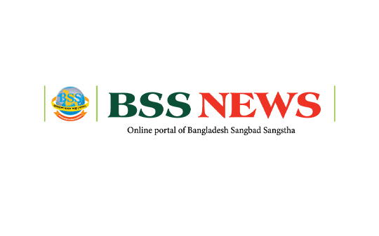 BSS NEWS LOGO