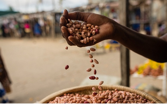 Political Economy Decision Toolkit For Food Systems Pathways