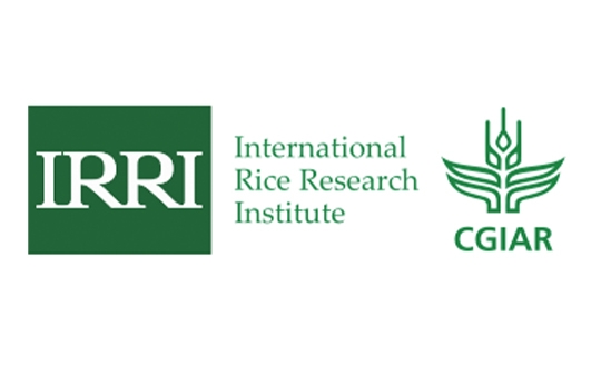 IRRI