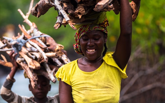Mother and son gathering wood at the mangroves at low tide, Mozambique