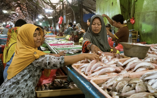 GAIN Briefing Paper n°16:NOURISHING PEOPLE AND PLANET ENVIRO-NUTRITIONAL INSIGHTS INTO LOCAL FOODS FOR POLICY, PROGRAMMES, AND INDUSTRY