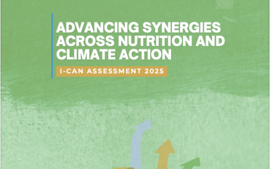 Advancing Synergies Across Nutrition and Climate Action