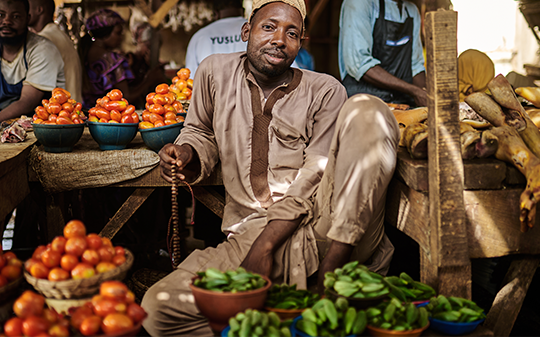a male tomato vendor