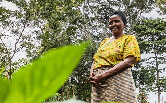 Woman standing in front of a leaf 