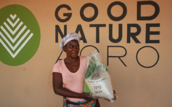 A Recipe for Impact? Using End-User Surveys to Understand the Impact of Nutrition-focused Investment