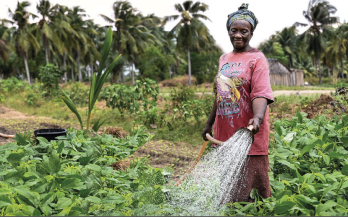 Rwanda Is Embracing A Food Systems Approach To Improved Prosperity