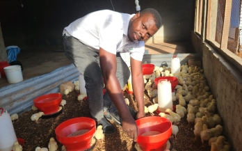 Mozambique: voice of a displaced entrepreneur in Cabo Delgado 