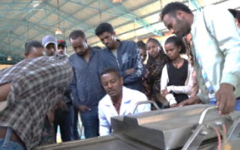 Nurturing Human Capital: A Key to Unlocking Private Sector Success in Ethiopia's Food Industry 