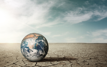 Enhancing Urban-Rural Linkages for Resilient Food Systems