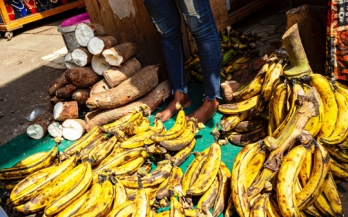 Fortification Assessment Coverage Toolkit (FACT) survey in Abidjan, Côte d’Ivoire