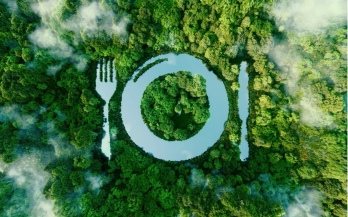 GAIN Working Paper n°53: Do Consumers Consider Environmental Factors When Making Food Choices?