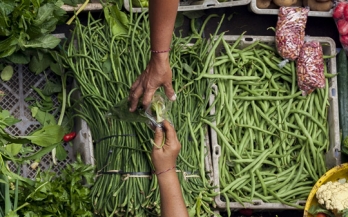 Measuring Performance for Food Safety 