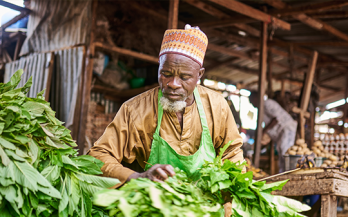 Improving Food Systems for Healthy Diets and Nutrition in Nigeria: Policies and Actions