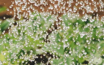 Forum for the Future of Agriculture (FFA)