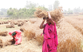 32nd International Conference of Agricultural Economists