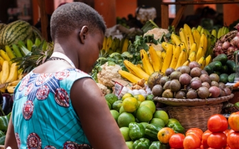 Food Safety and Nutrition: How are they Connected, and Why does it Matter?