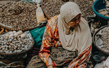 No More Missed Opportunities