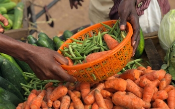 Rising food and input prices, alongside ongoing contextual challenges, are putting pressure on food system SMEs