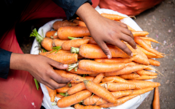 Global Alliance for Improved Nutrition Statement on Food Safety at WHA77