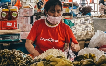 Improving food safety: an emerging imperative in low-income countries