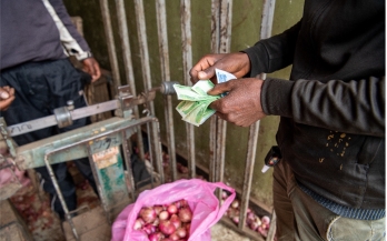 GAIN Working Paper n°56:Coping With Rapid Increases in Food Prices: Insights From Urban Ethiopia