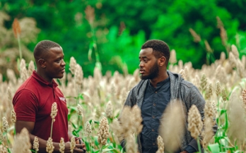 Reducing Nutritional Insecurity in Kenya through Ugali