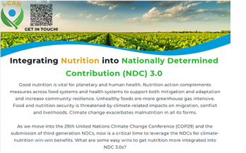 Integrating Nutrition into Nationally Determined Contribution (NDC) 3.0