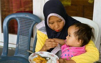 From Maps to Action Strengthening Indonesia’s Food Security through an Enhanced Food Security and Vulnerability Atlas 2025 with Localized and Updated Indicators