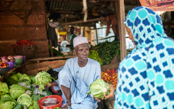 Regional Dialogue on Improving Access to Locally Produced Nutritious and Safe Complementary Foods in Low- and Middle-Income Countries