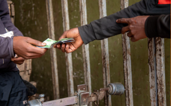 GAIN Convening Paper n° 16 - rural diets - session III Role of Markets