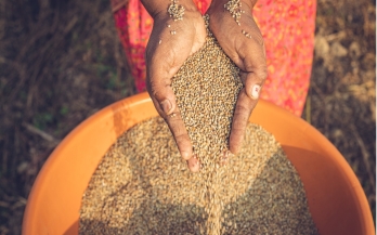 GAIN Convening Paper n°21: Identifying Indicator Needs For Food System Transformation in South And Southeast Asia 