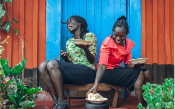 GAIN Briefing Paper n°14: Issues In the Design & Delivery of Interventions to Improve Rural Diets in Low- and Lower-Middle-Income Countries