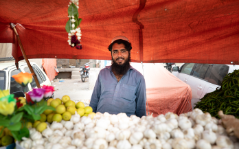 Just Launched: The Food Systems Accelerator