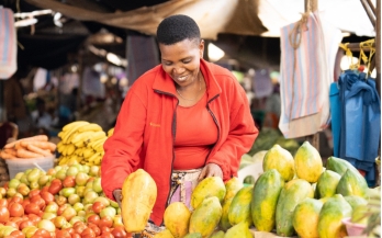 GAIN Working Paper n°55: Mapping Of Influential Stakeholders in Nutrition and The Food System in Rwanda