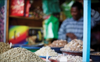 Literature Review on Foodborne Disease Hazards in Foods and Beverages in Ethiopia